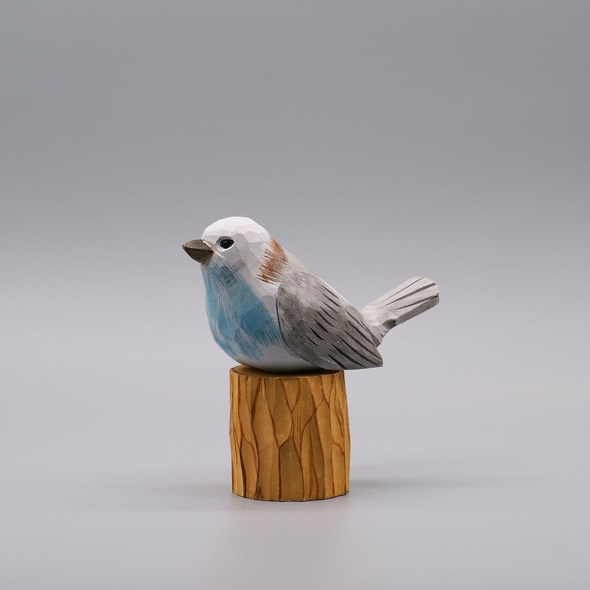 Classic Flycatcher