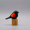 Classic Red-Winged Blackbird