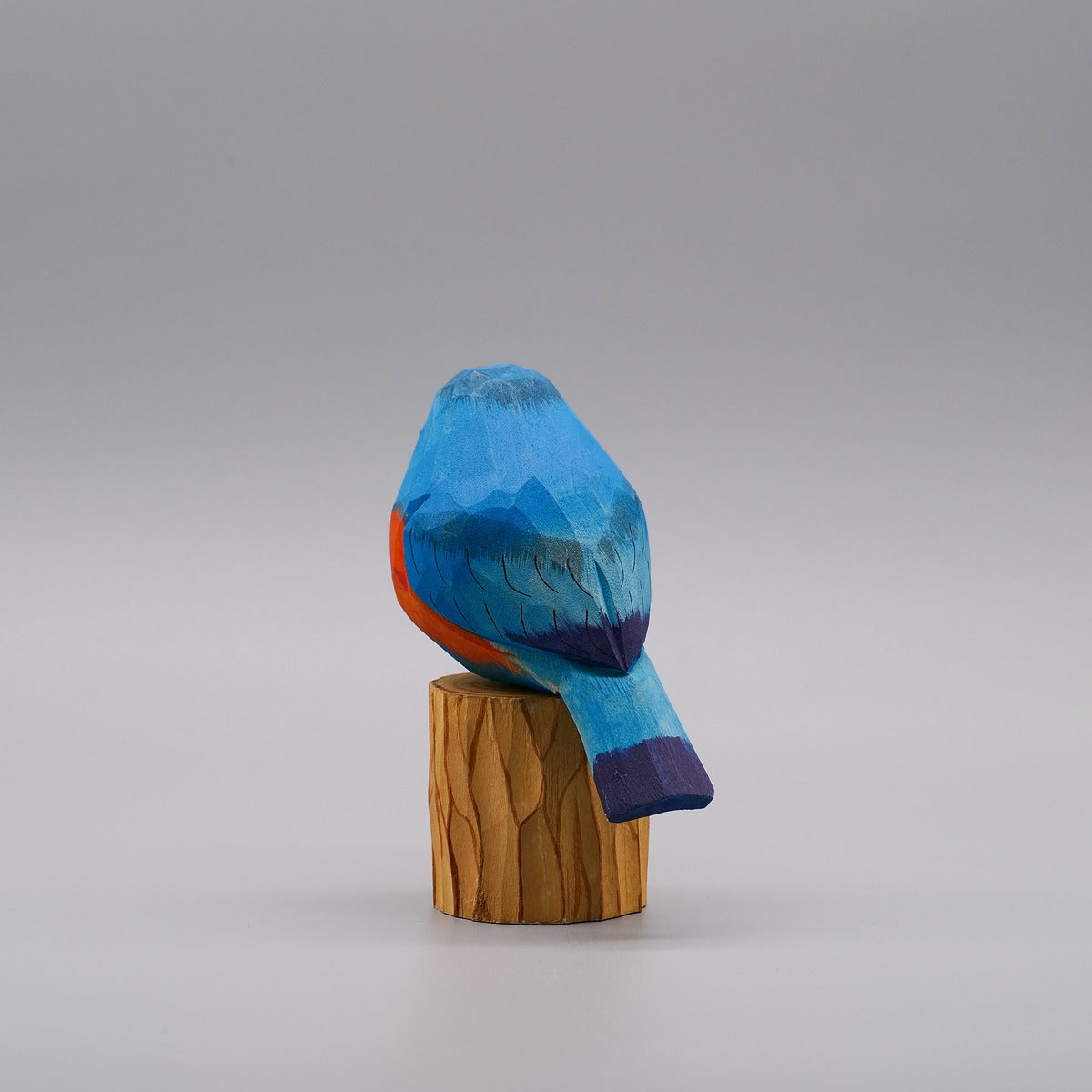 Classic Eastern Bluebird