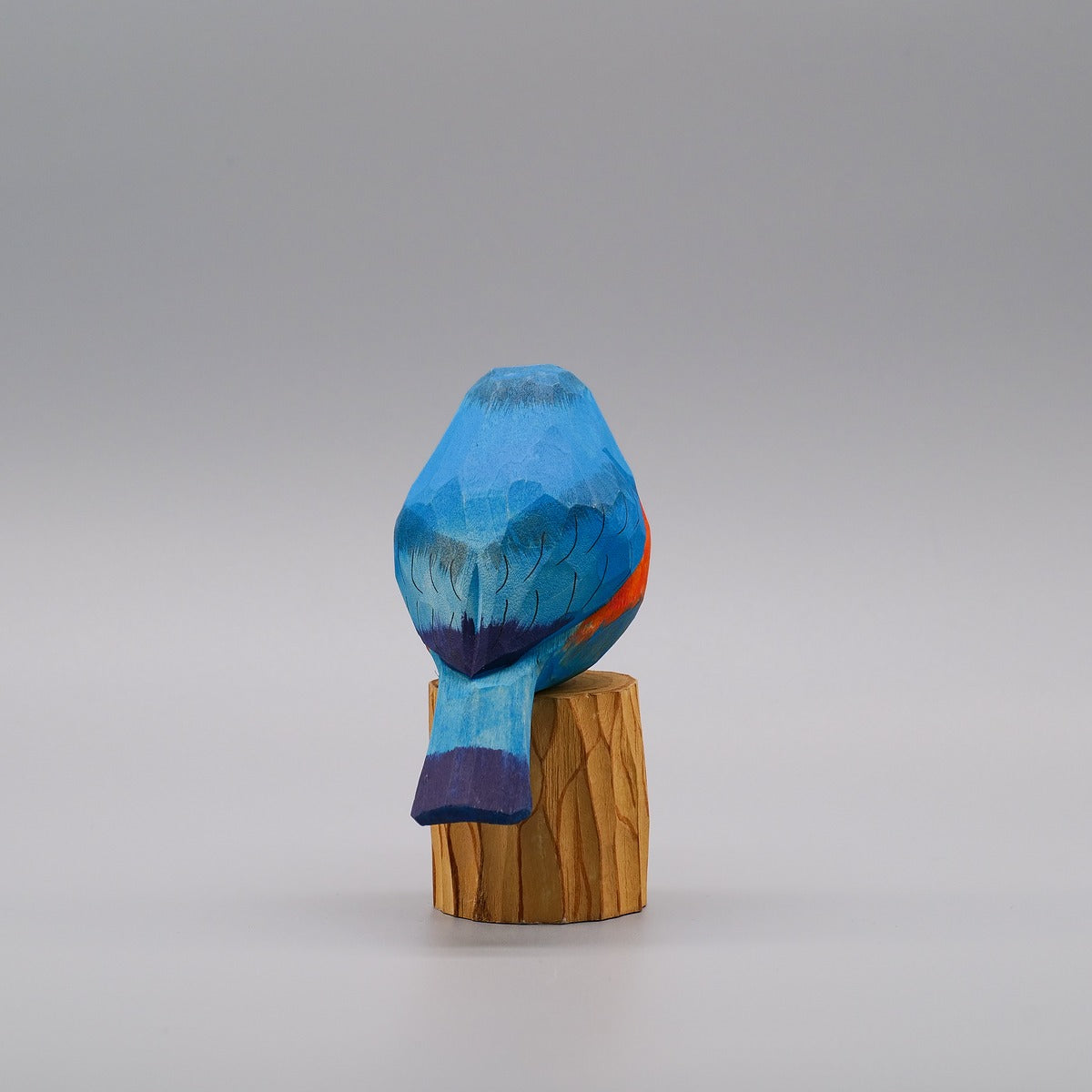 Classic Eastern Bluebird