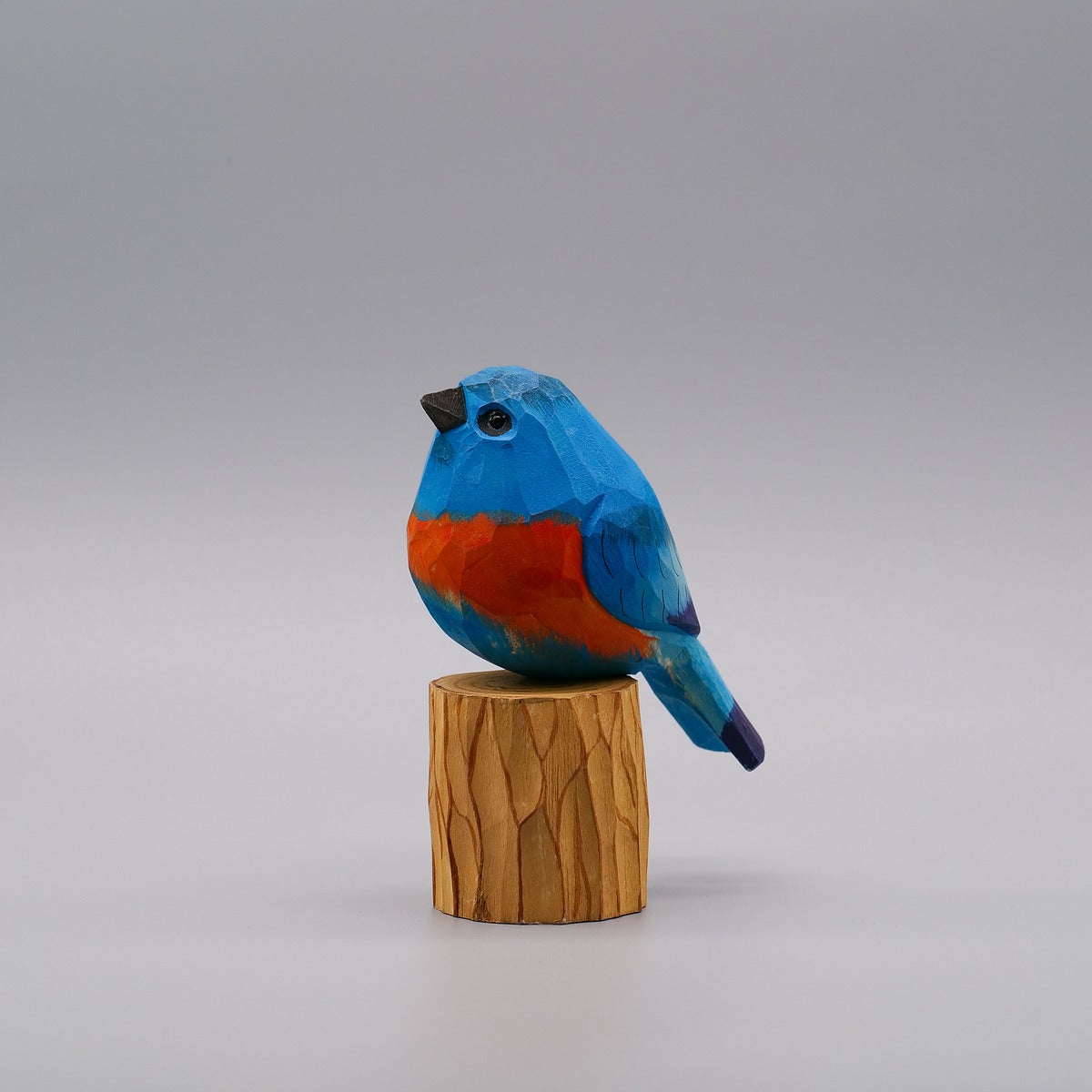 Classic Eastern Bluebird