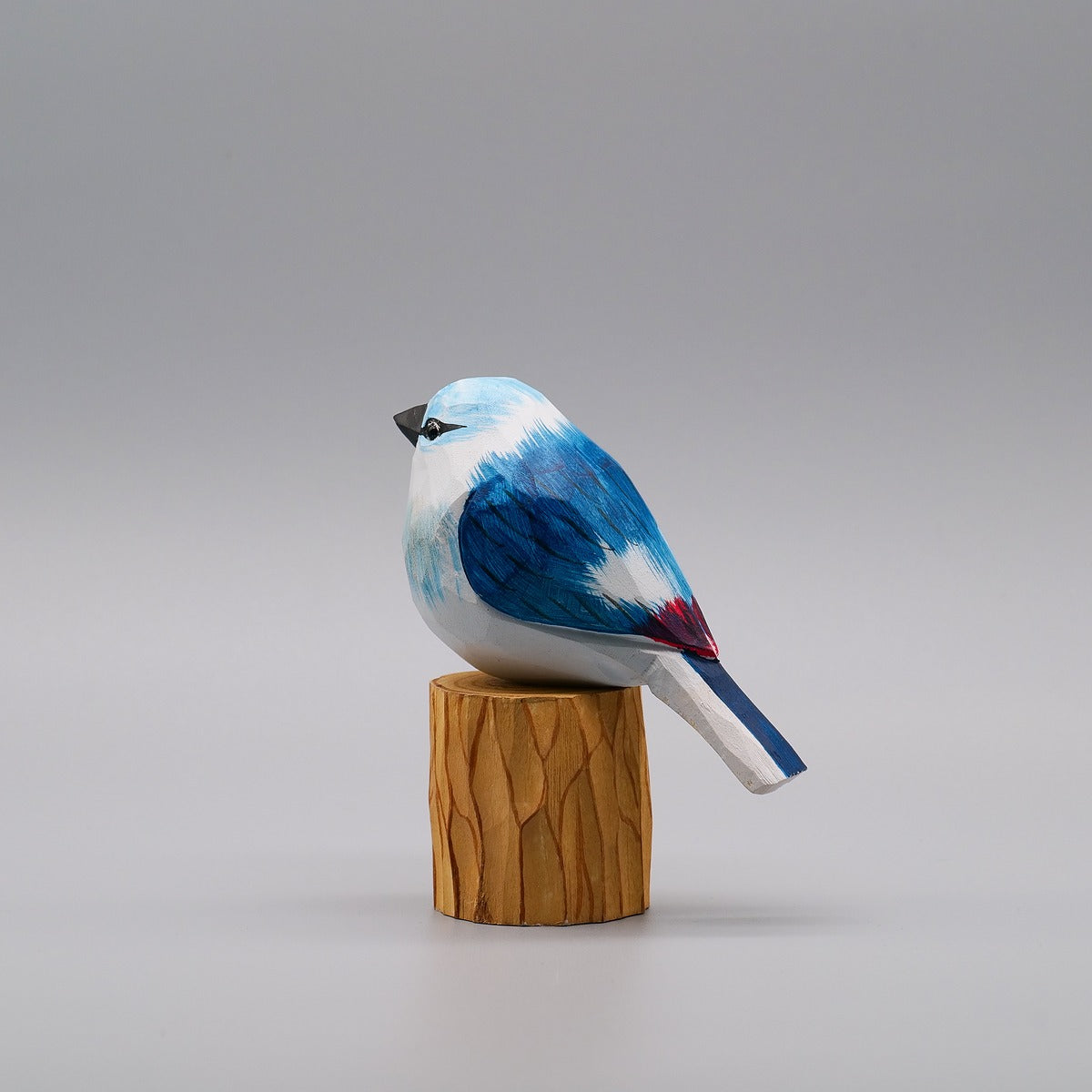 Classic Blue Jay