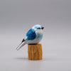 Classic Blue Jay
