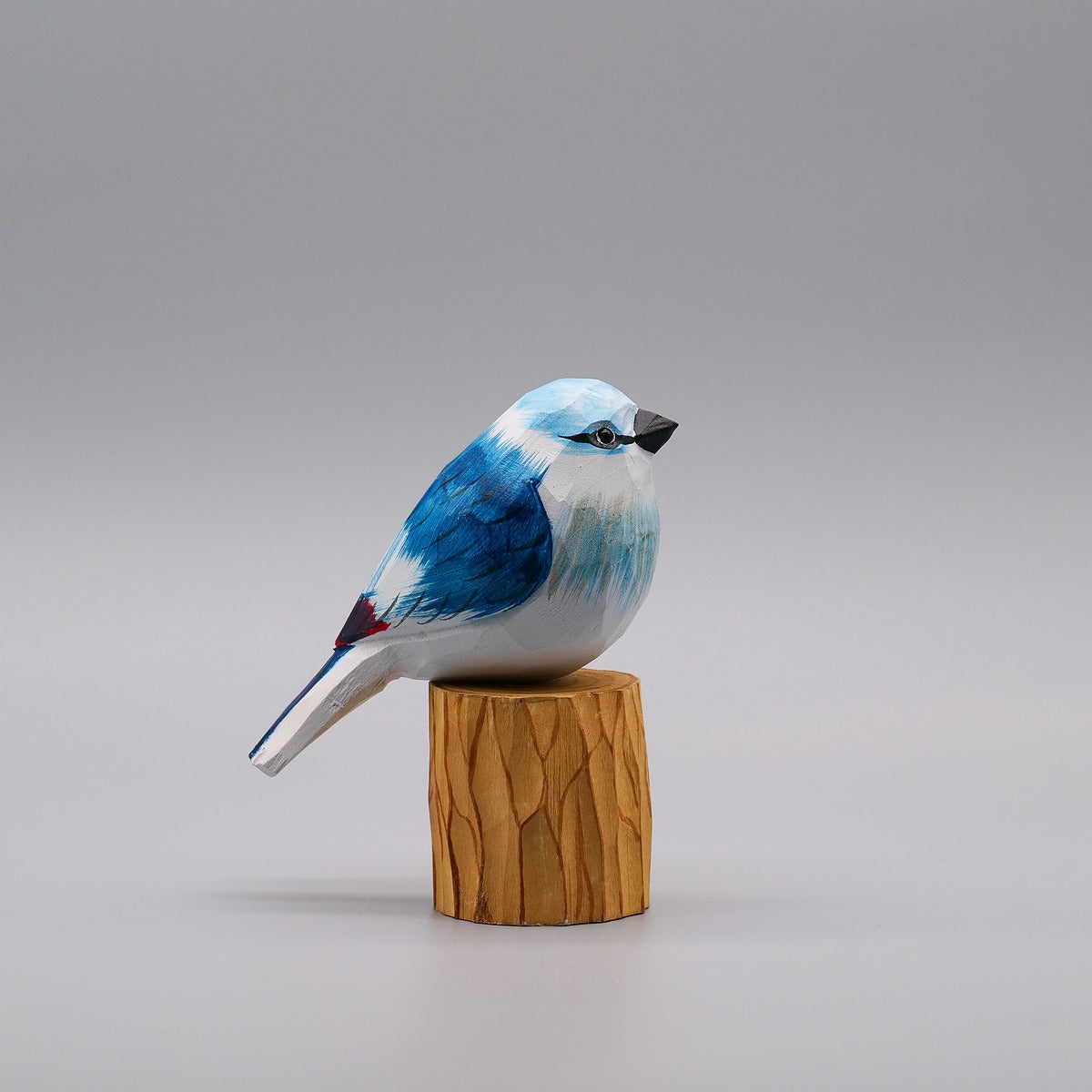 Set of 30 Birds