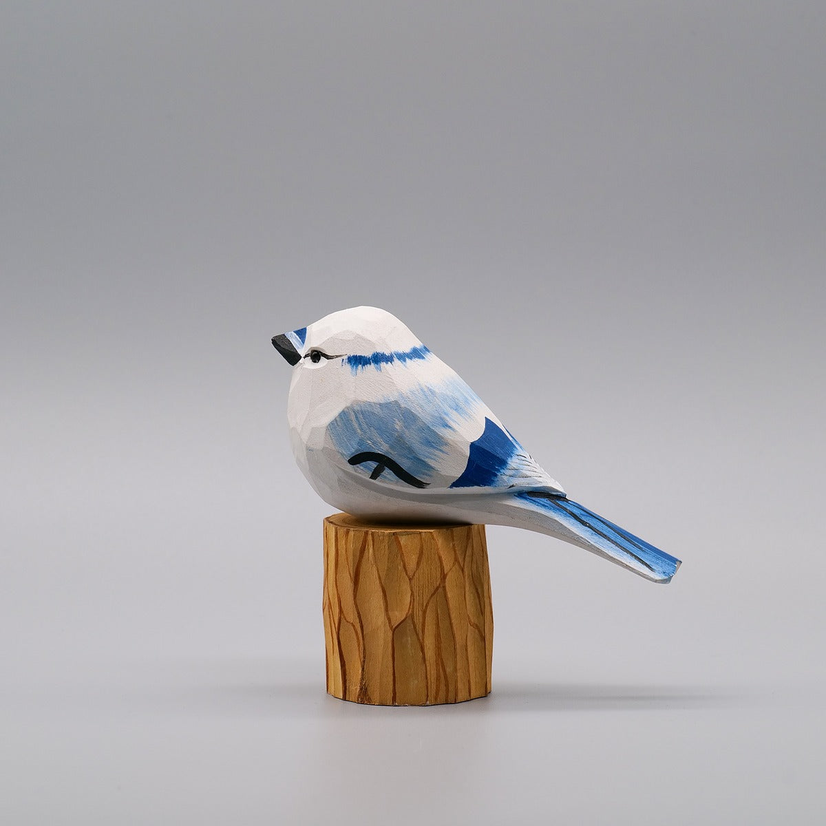 Classic White Blue Jay