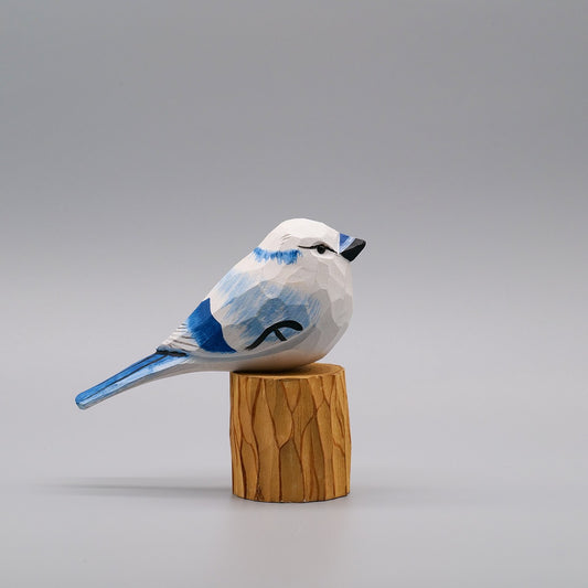 White Blue Jay