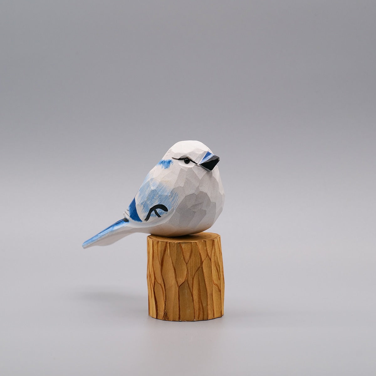 Classic White Blue Jay