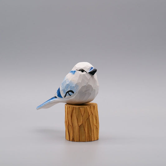 White Blue Jay