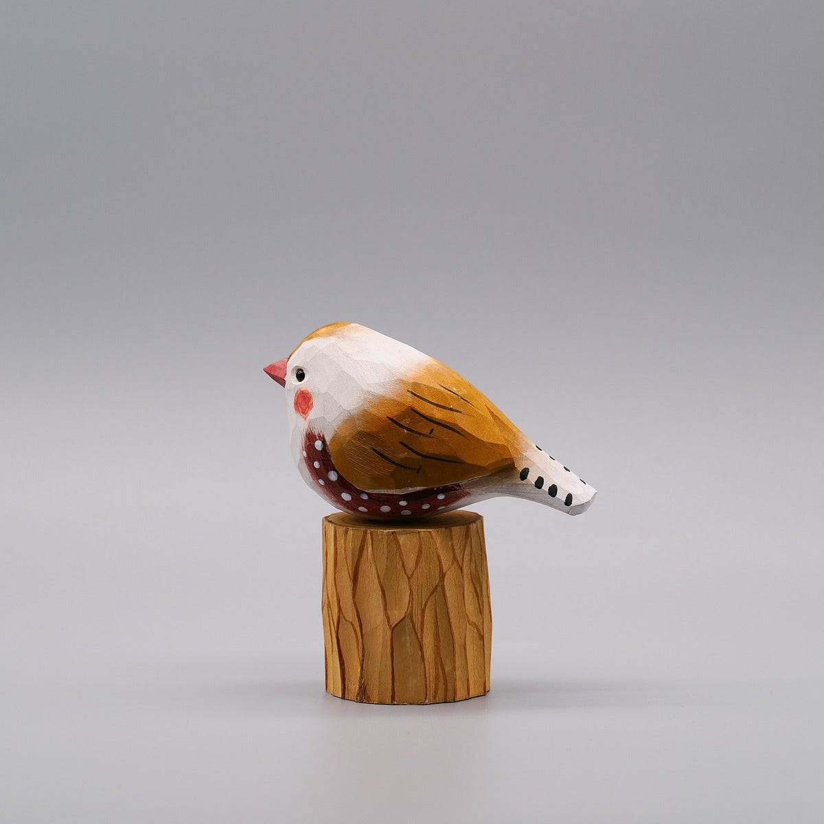 Male and Female Zebra Finch Set