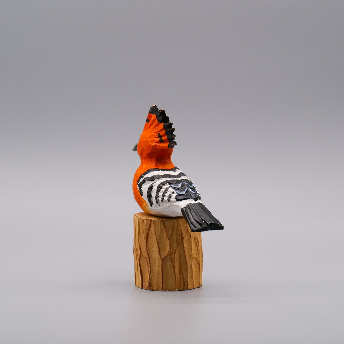 Classic Hoopoe