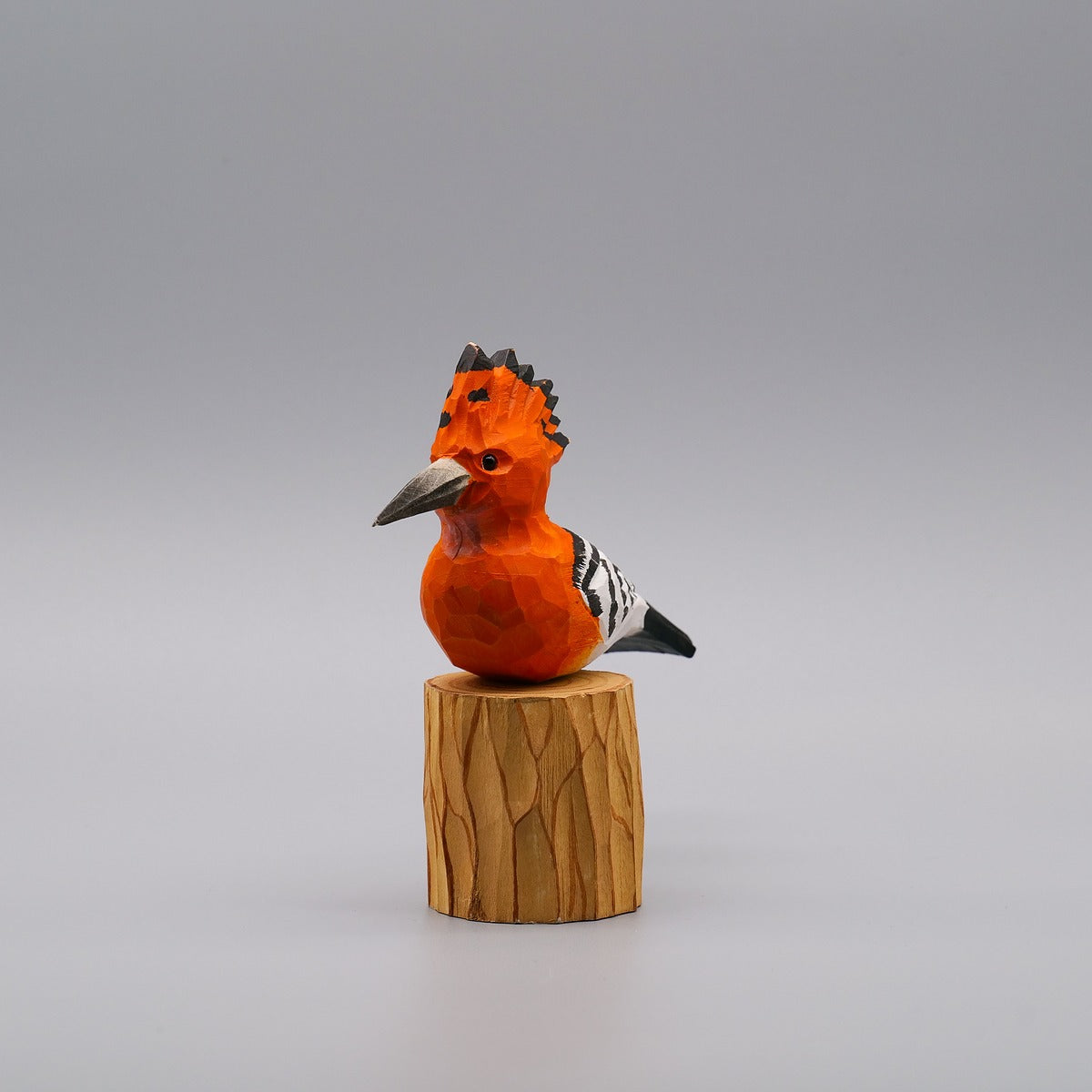 Classic Hoopoe