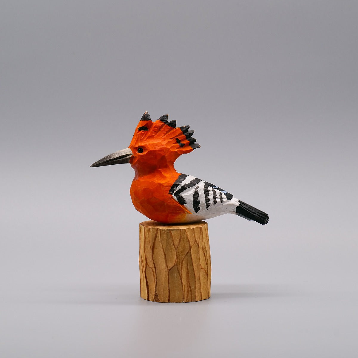 Classic Hoopoe