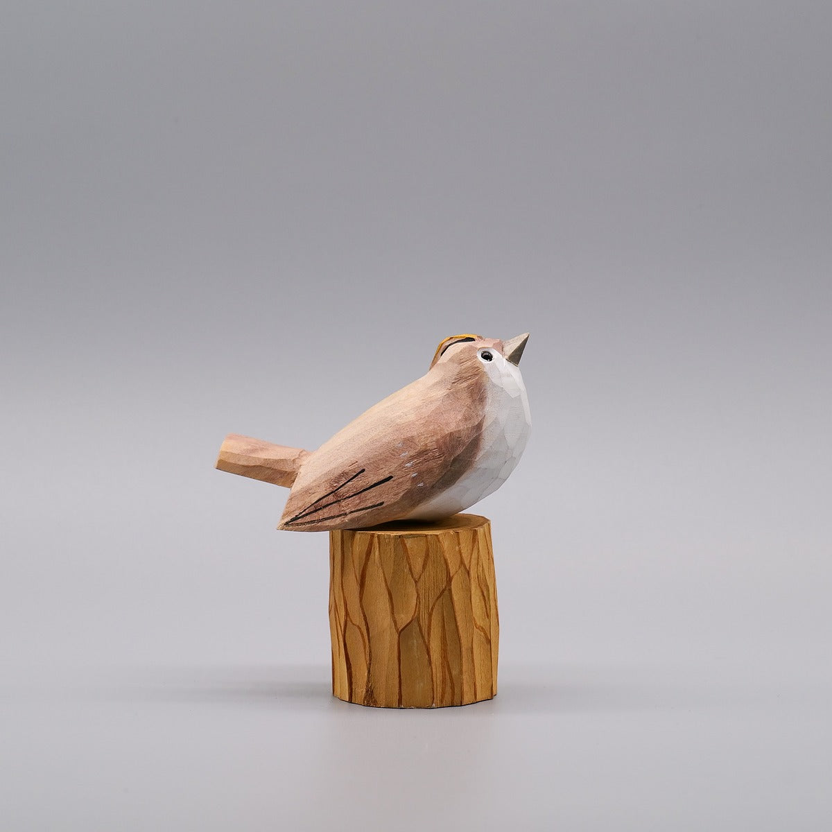 Set of 30 Birds