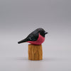 Classic Pink Robin