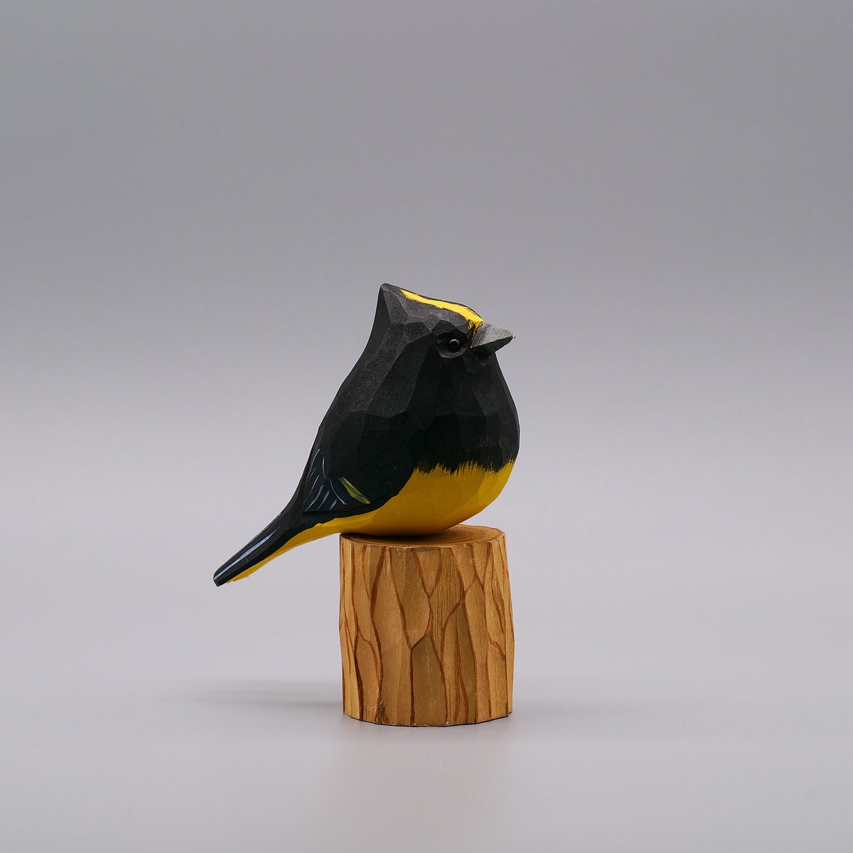Full Set of 12 Birds