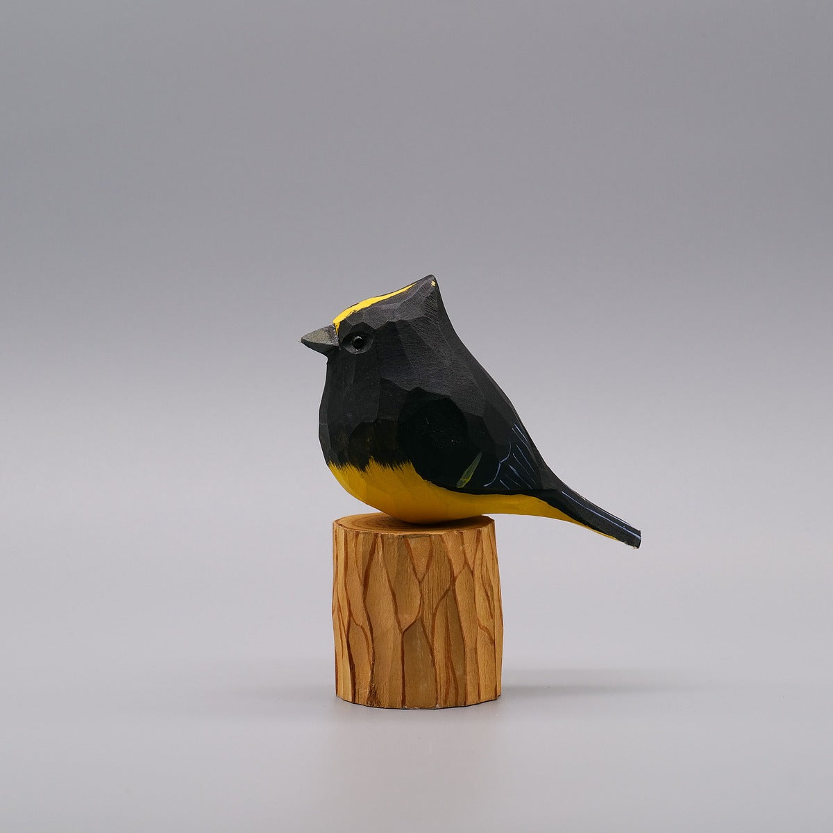 Classic Sultan Tit