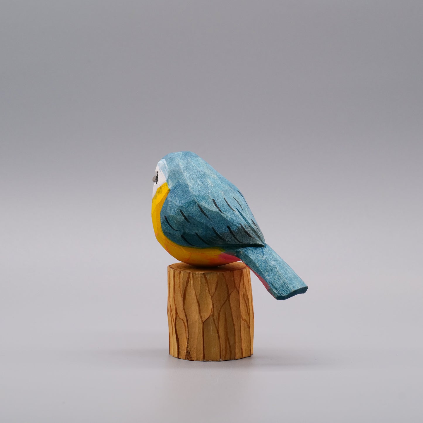 Classic Eurasian Blue Tit