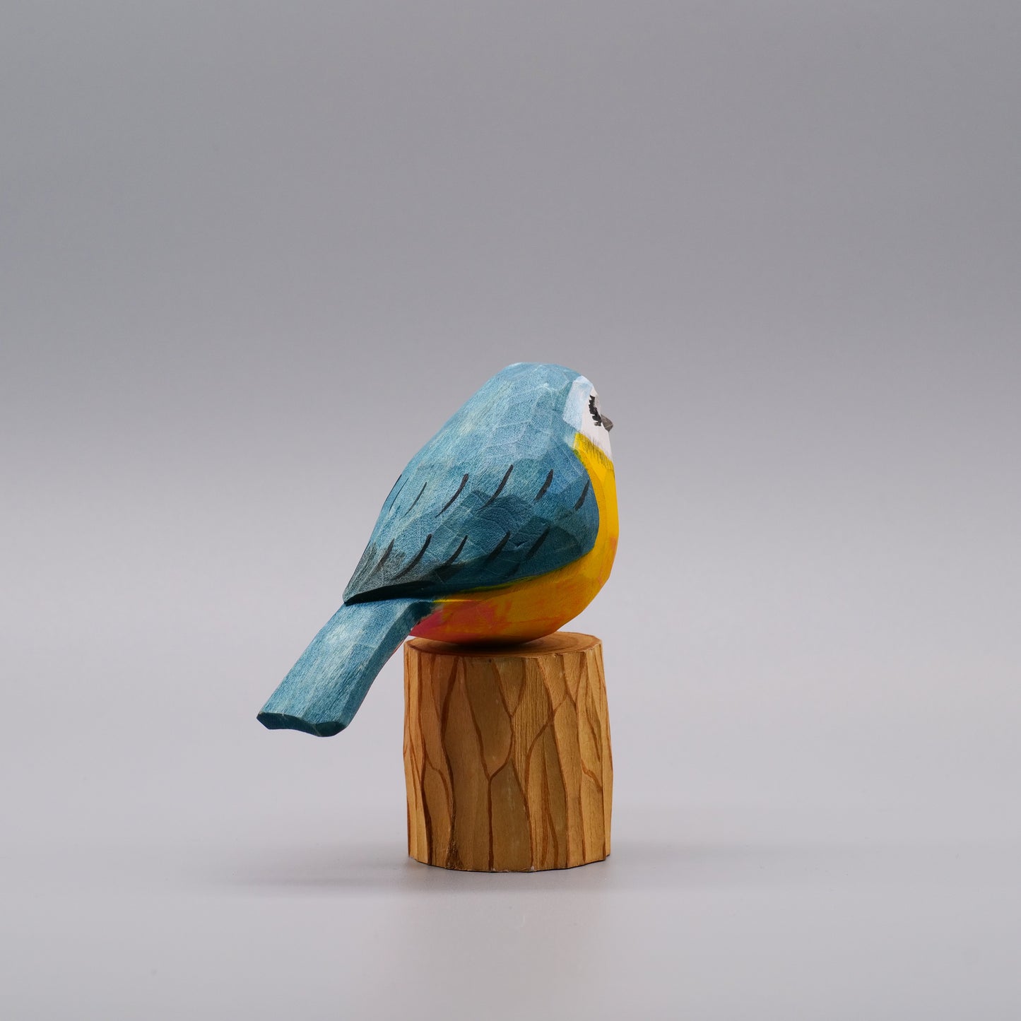 Classic Eurasian Blue Tit