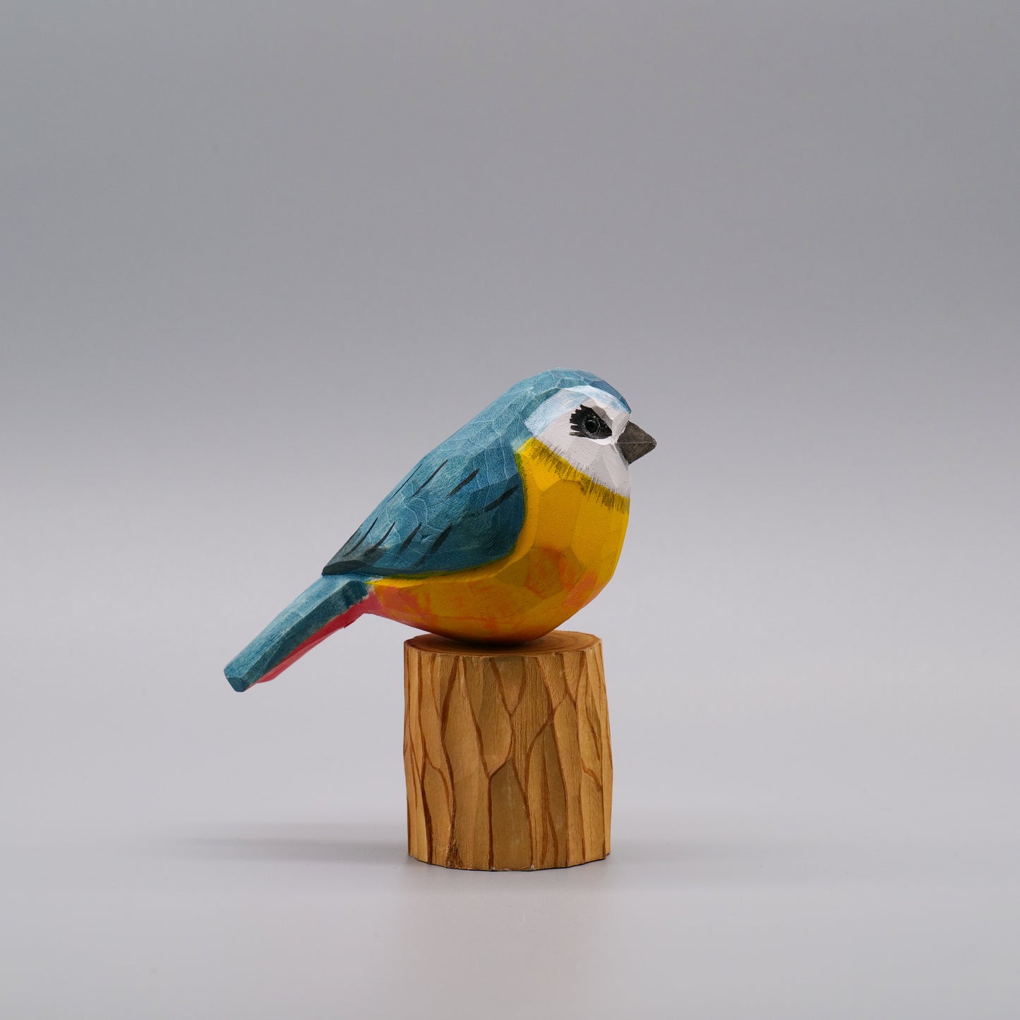 Classic Eurasian Blue Tit