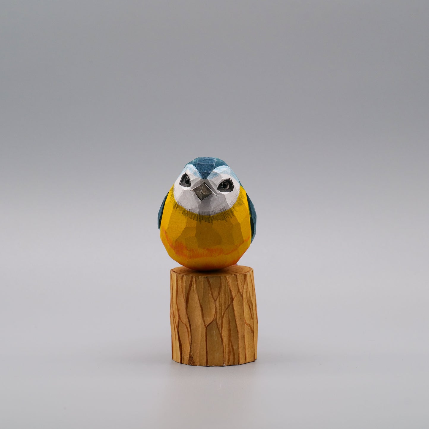 Classic Eurasian Blue Tit
