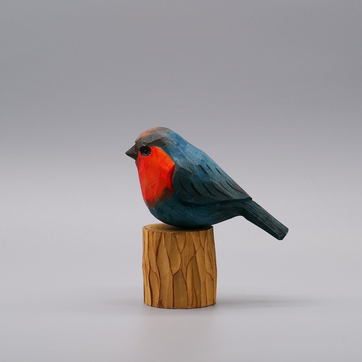 Classic Western Bluebird
