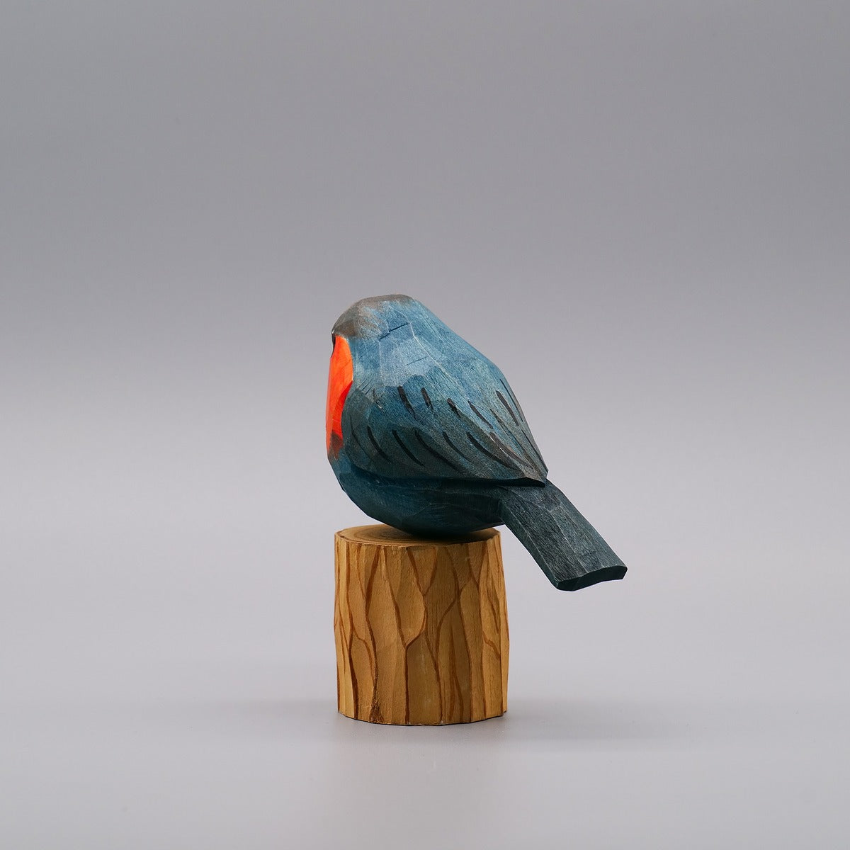 Classic Western Bluebird
