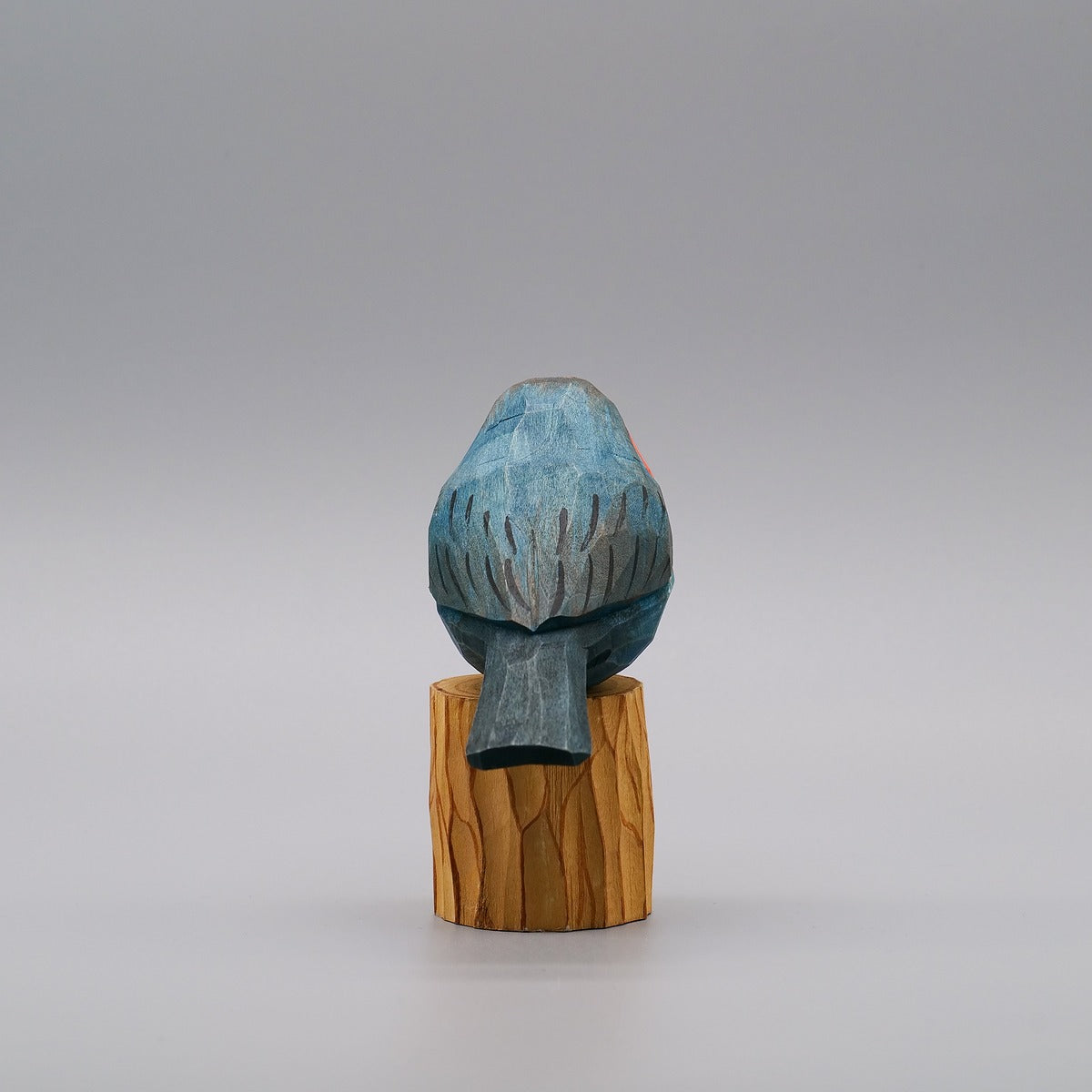 Classic Western Bluebird