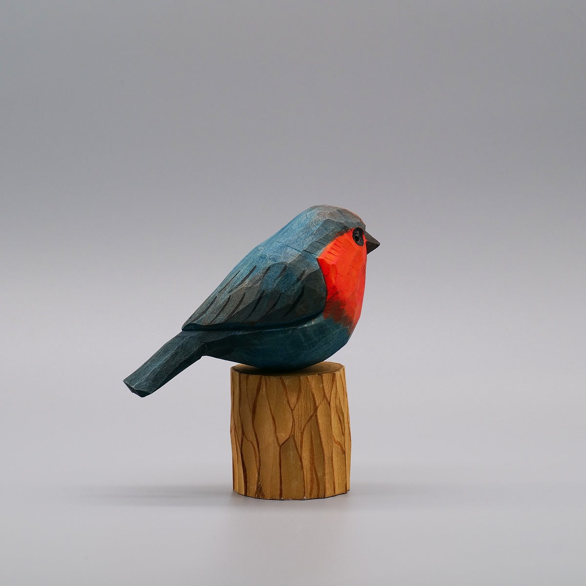 Classic Western Bluebird
