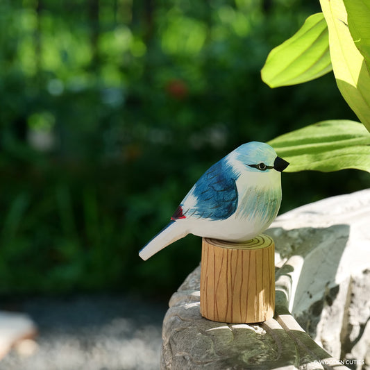 Classic Blue Jay