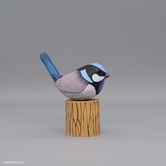 Superb Fairywren