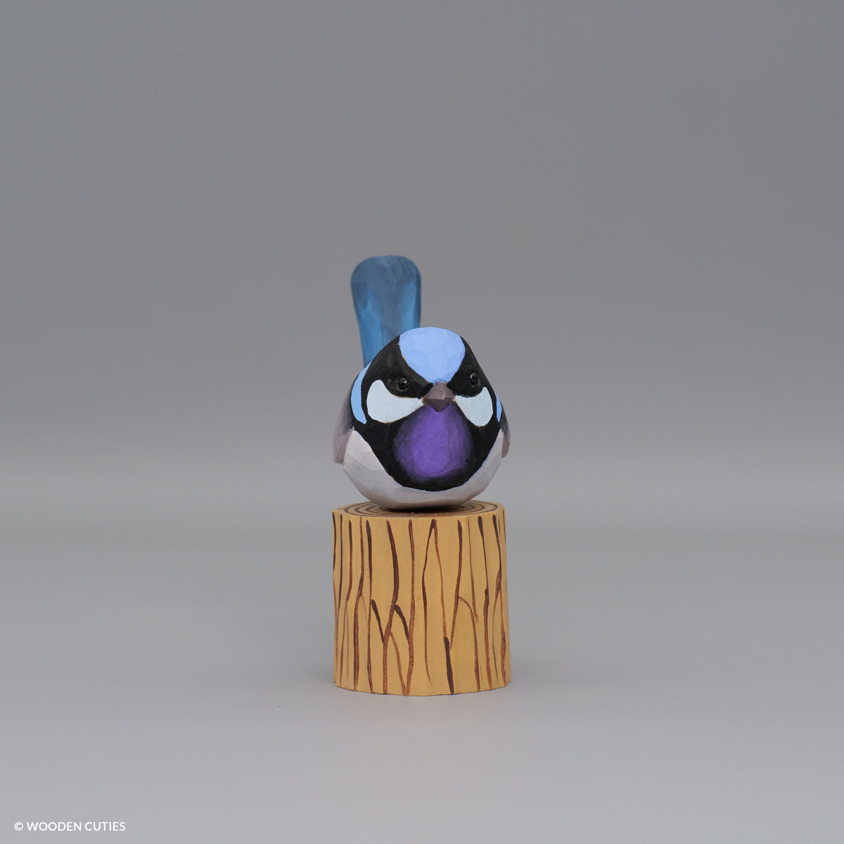 Superb Fairywren