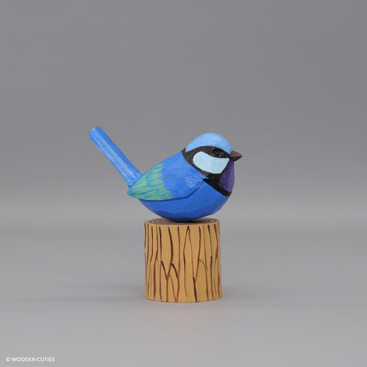 Splendid Fairywren