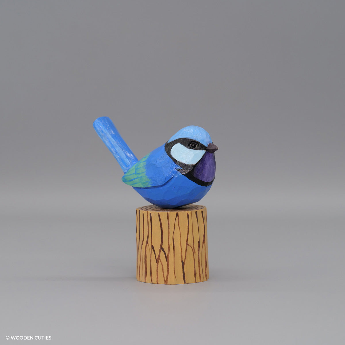 Splendid Fairywren