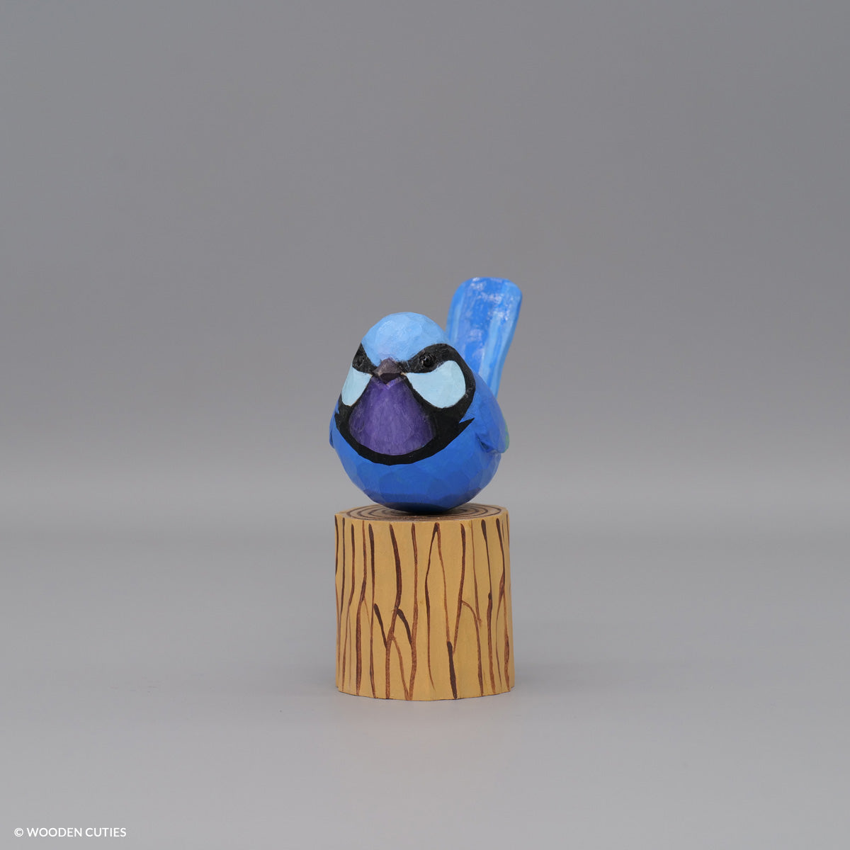 Splendid Fairywren