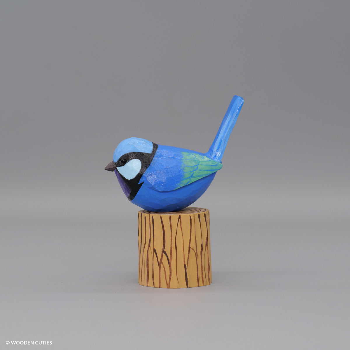 Splendid Fairywren