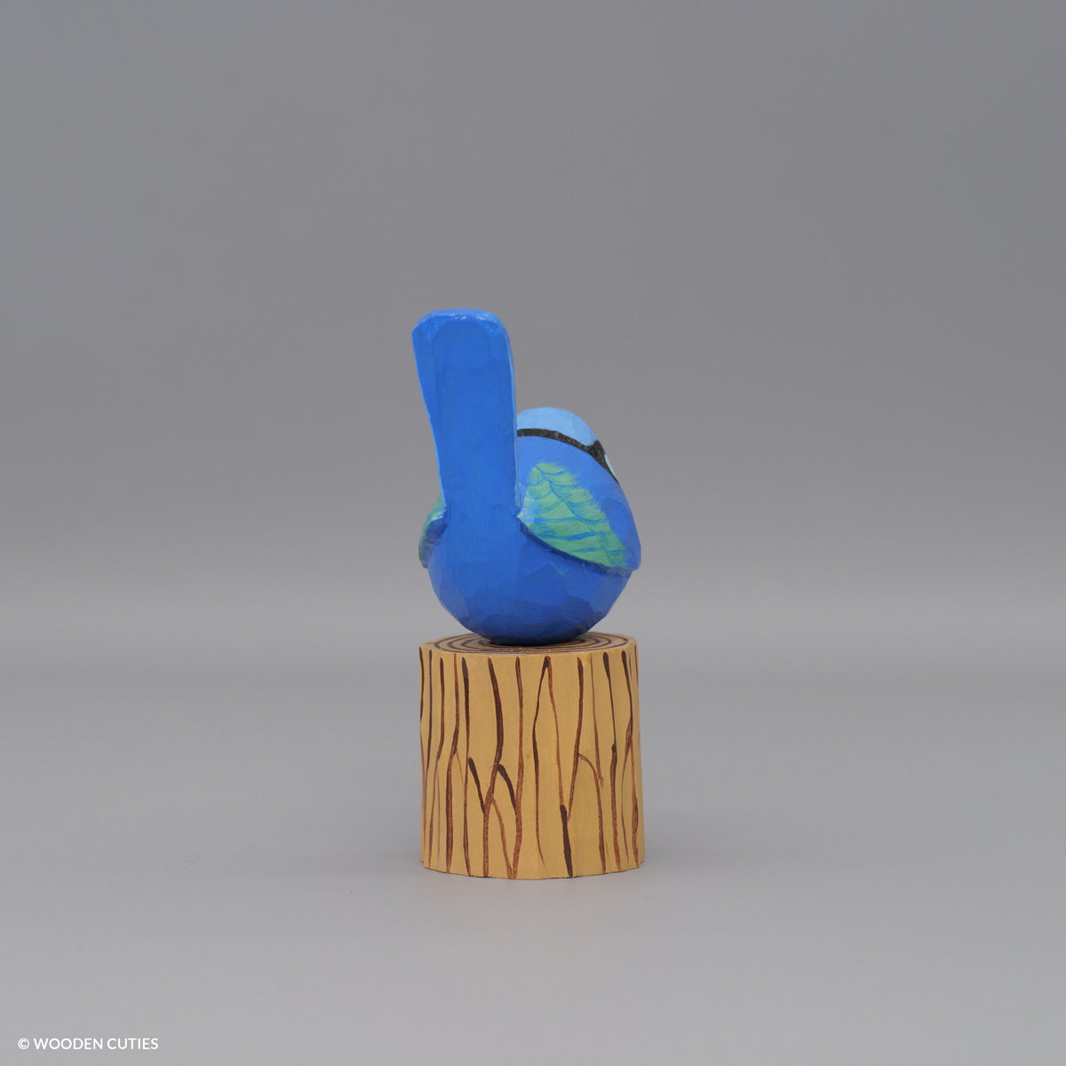 Splendid Fairywren