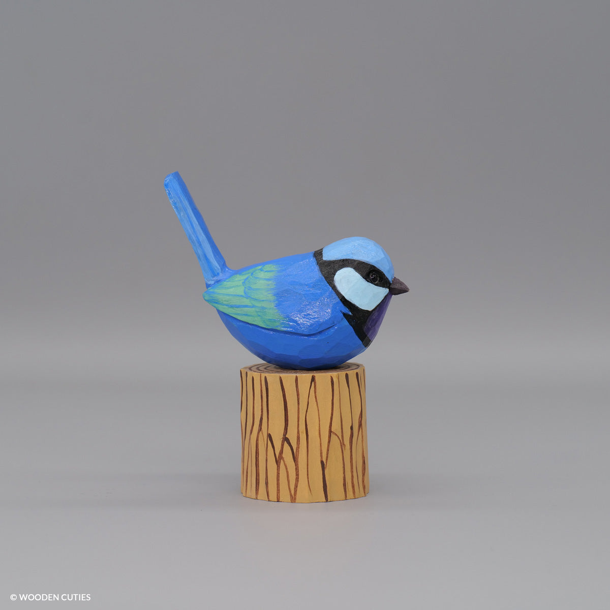 Splendid Fairywren