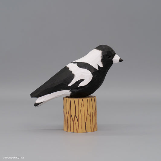 Australian Magpie