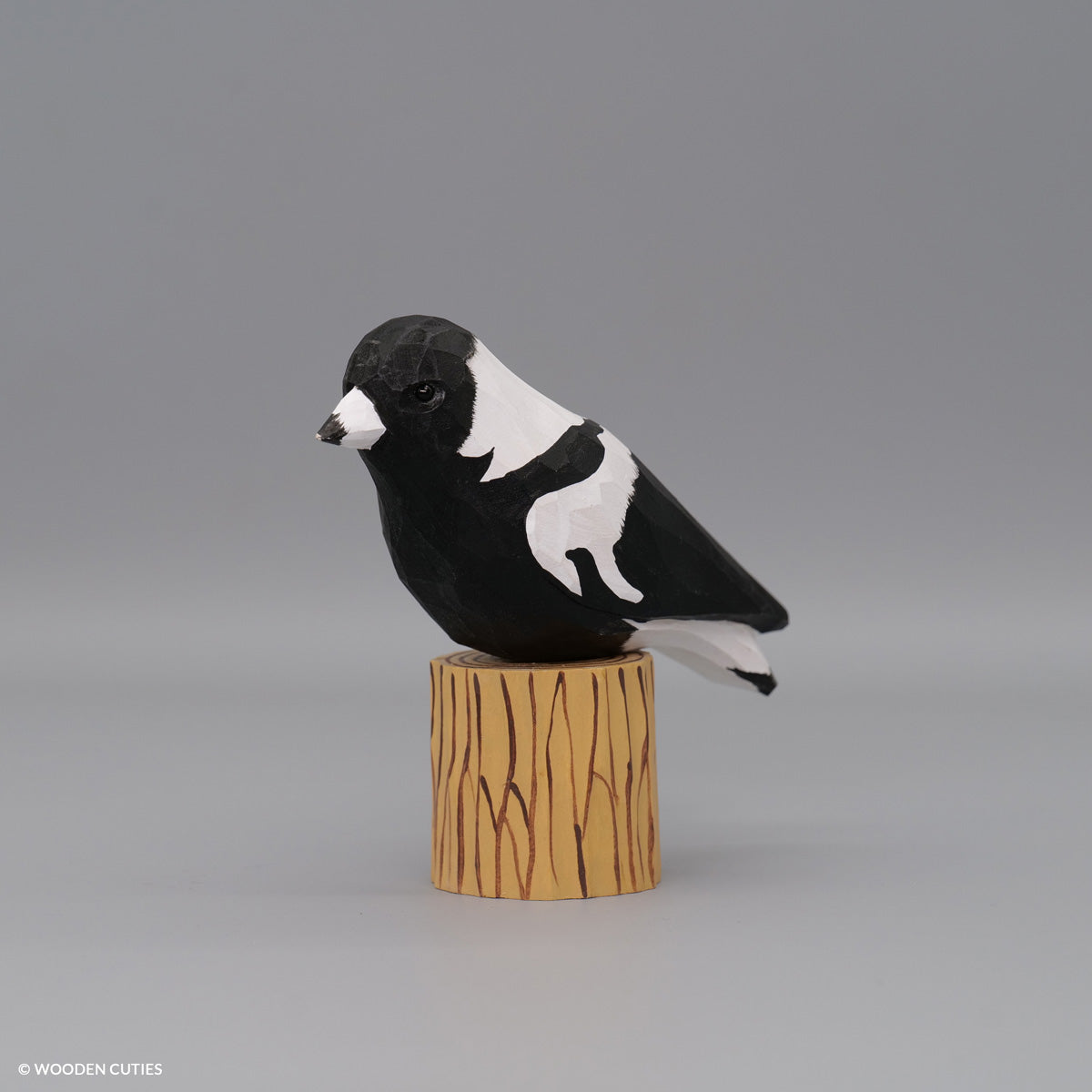 Australian Magpie