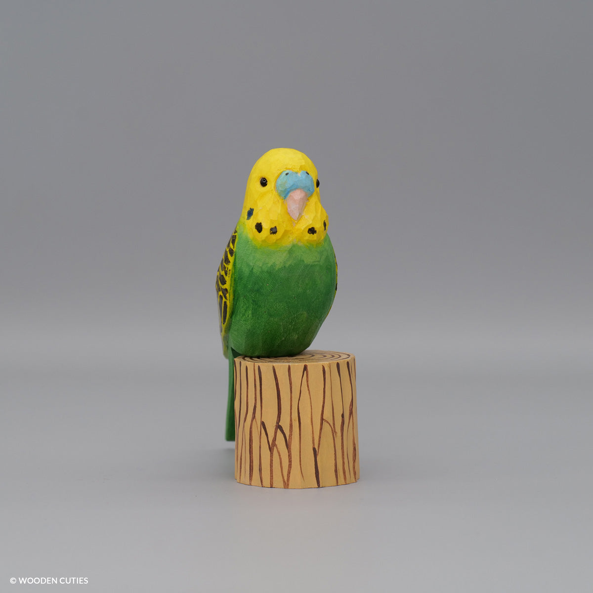 Budgerigar