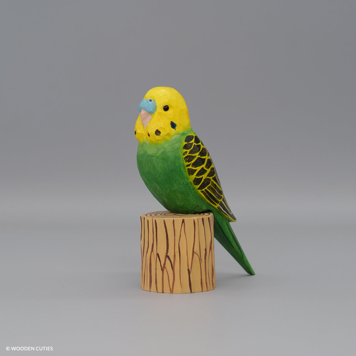 Budgerigar