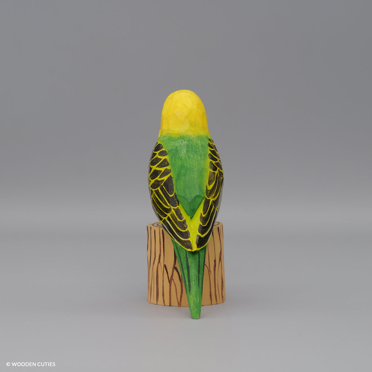 Budgerigar