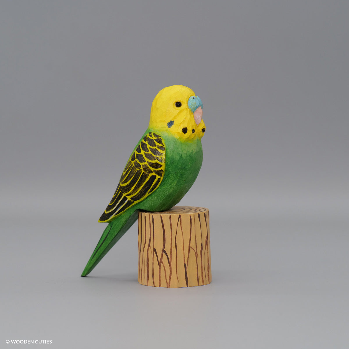 Budgerigar