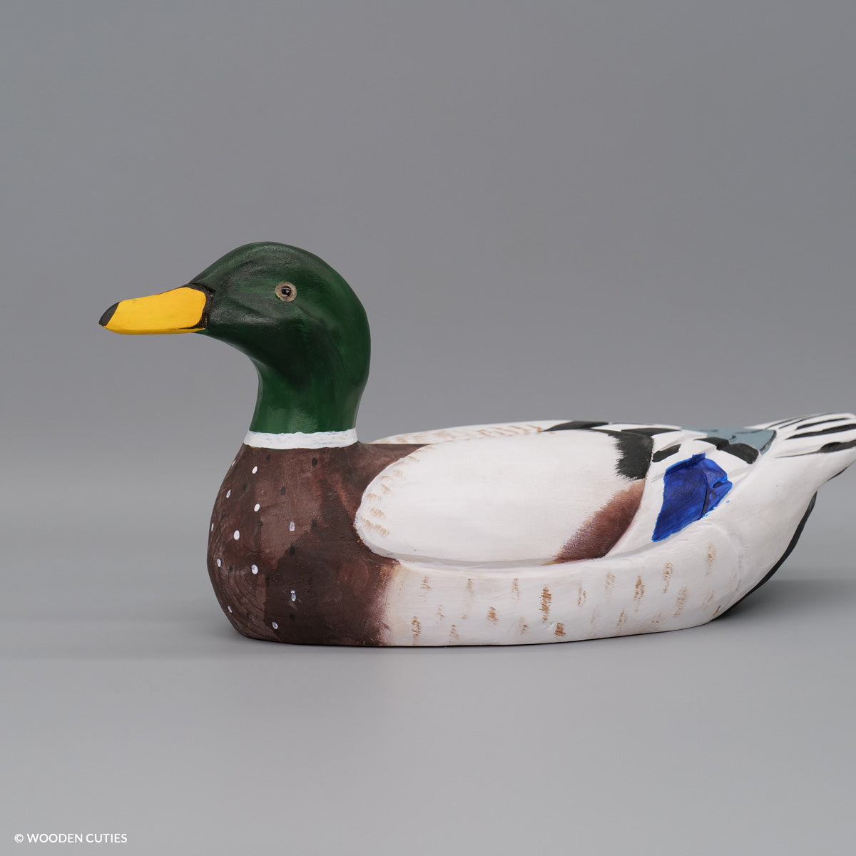 Mallard Duck