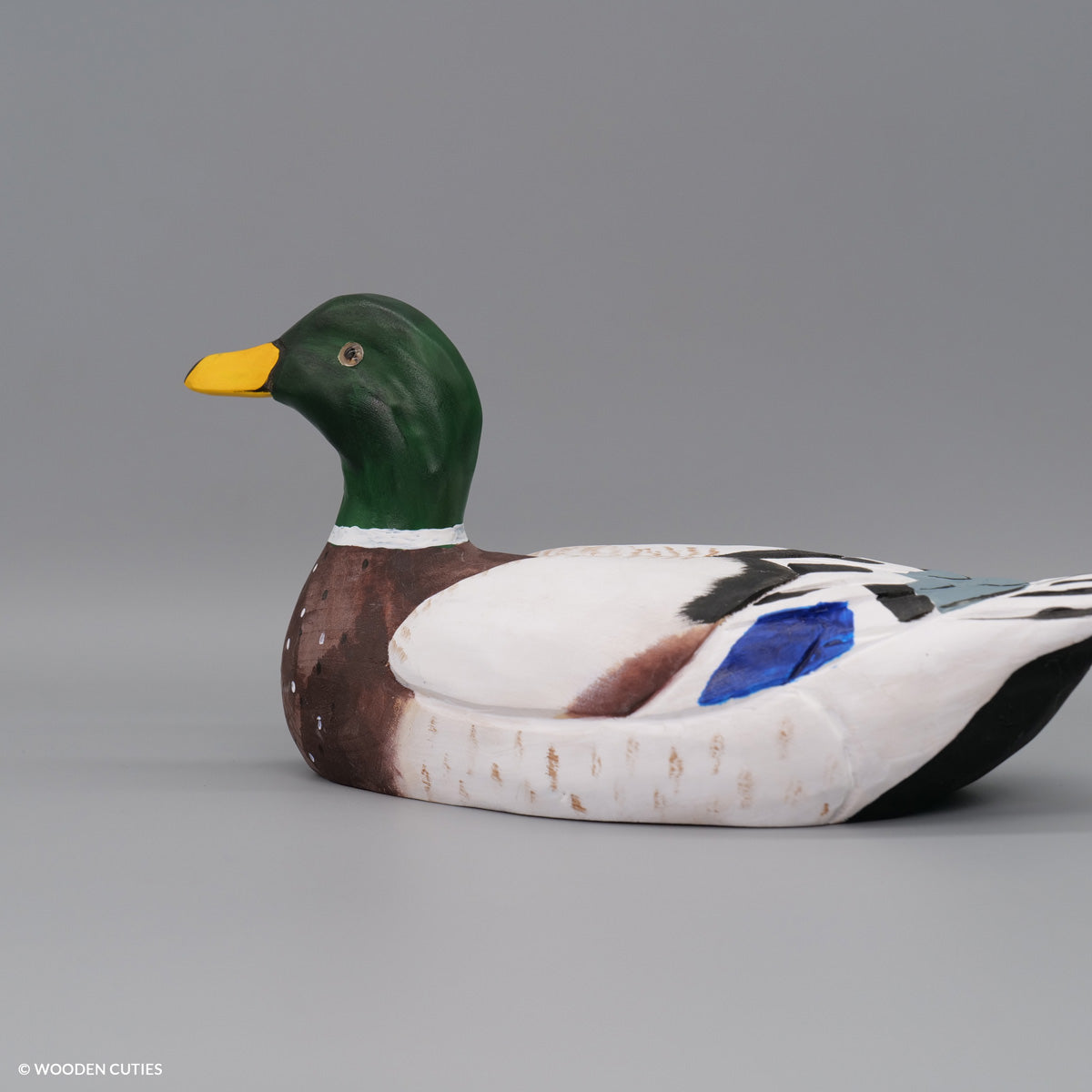 Mallard Duck