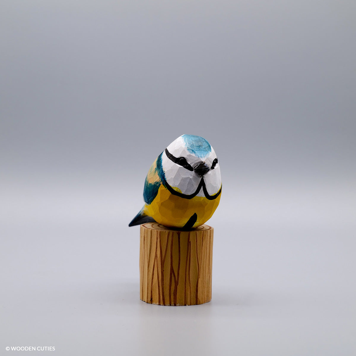 Blue Tit