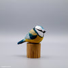 Blue Tit