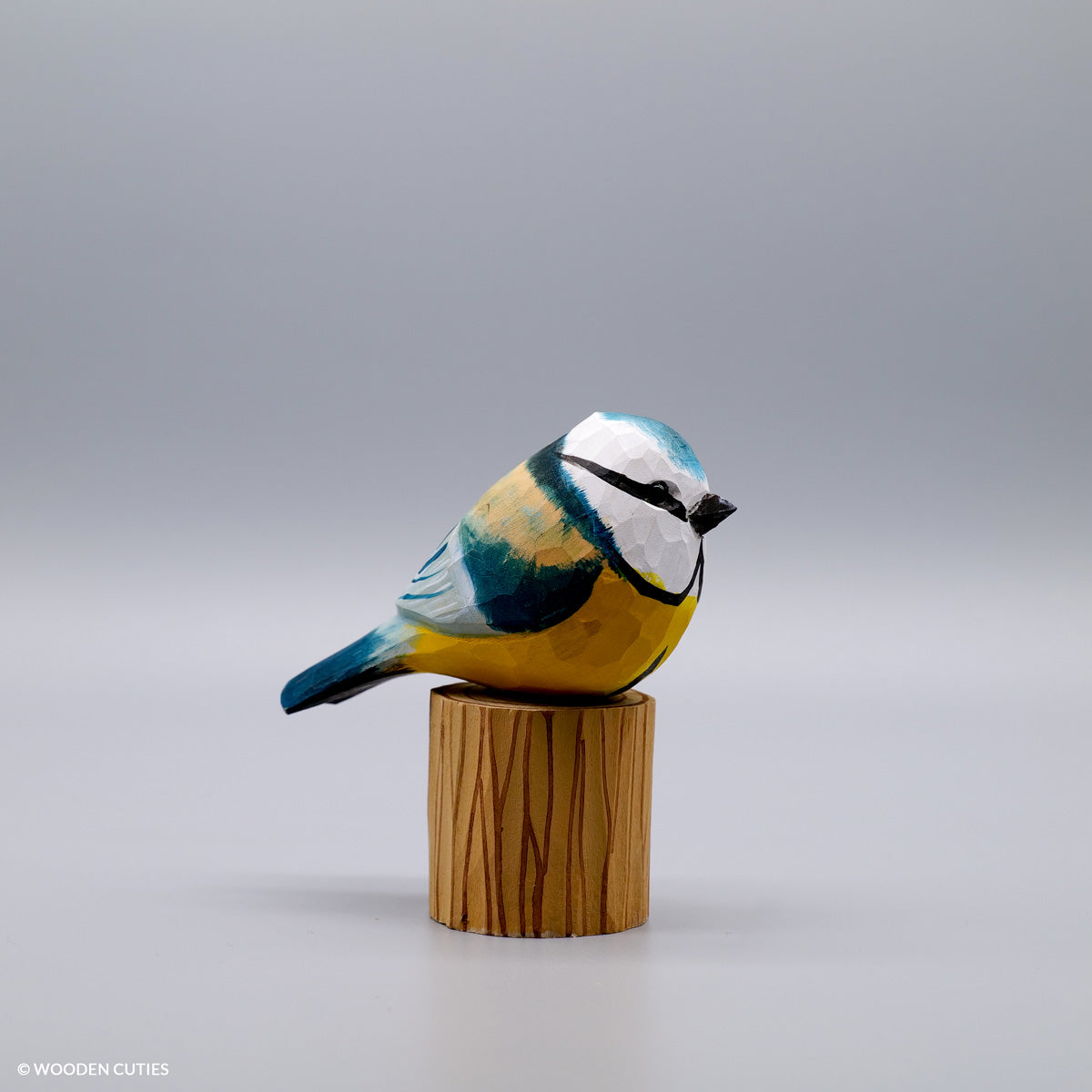 Set of 30 Birds