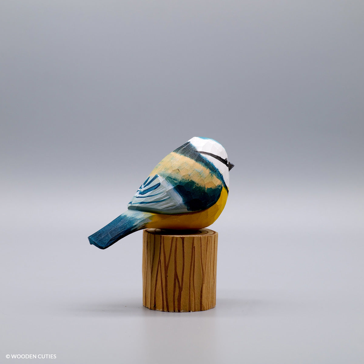 Blue Tit