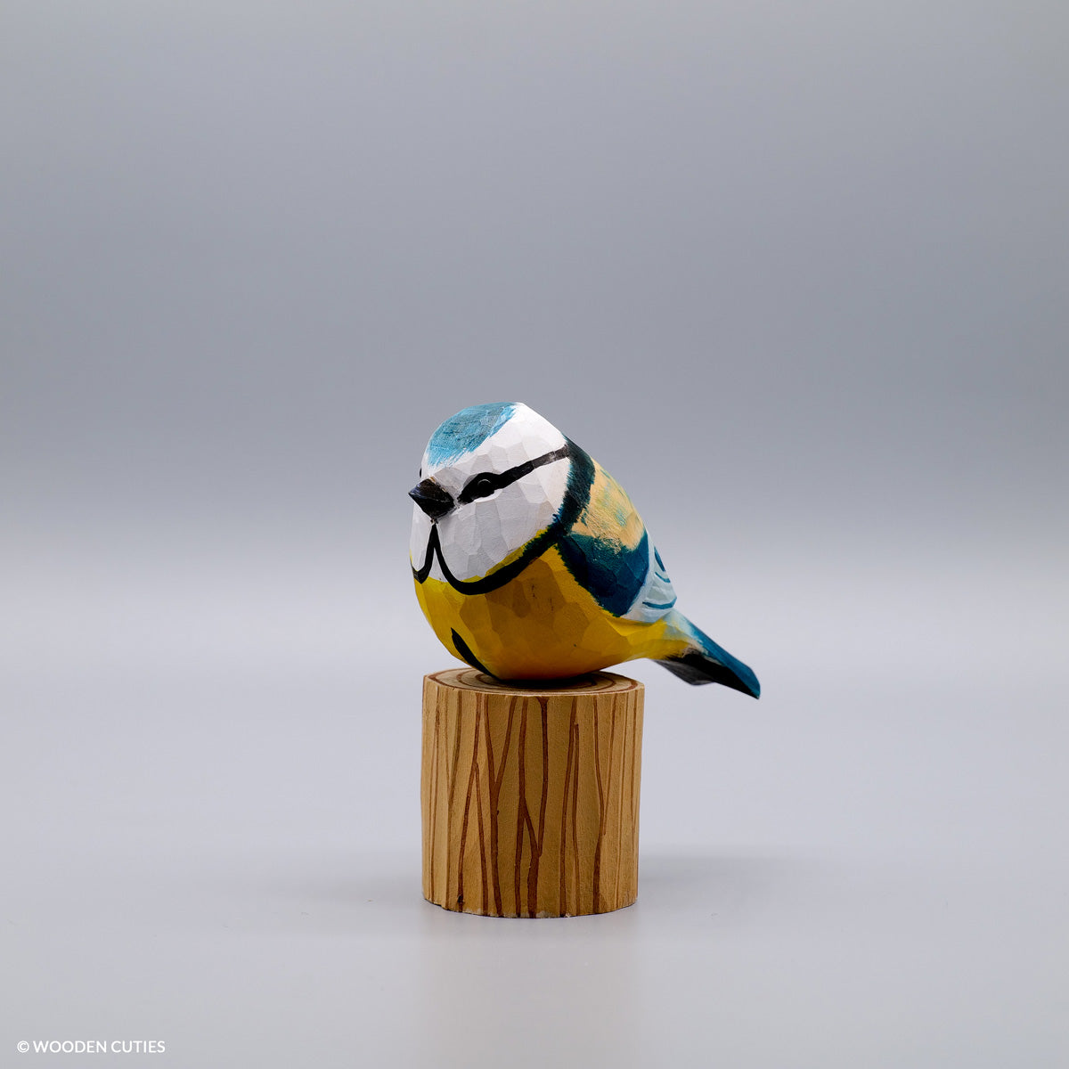 Blue Tit